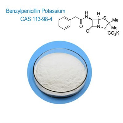 Cas 113-98-4 Meddygaeth Filfeddygol 99% Penisilin G Potasiwm Benzylpenicillin